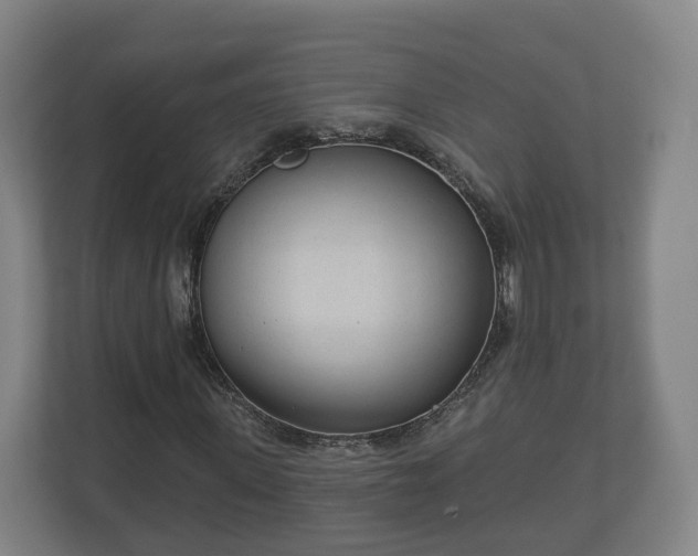 X0000113080915200909041125