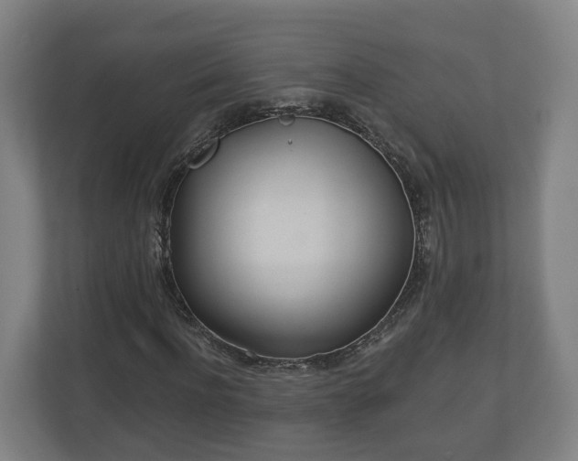 X0000113080916200909041125