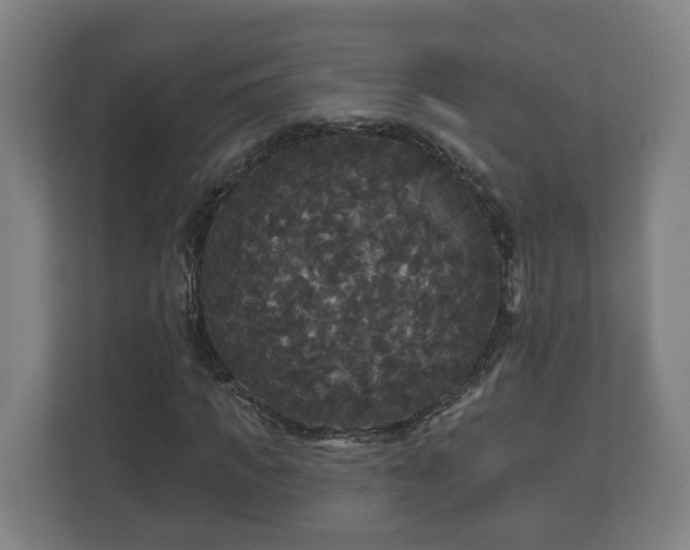 X0000113080917200909041125