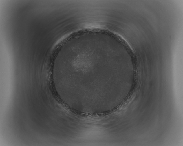 X0000113080919200909041126