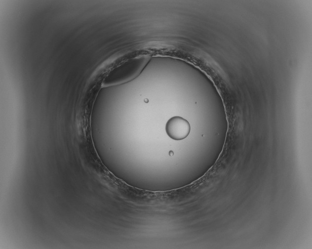 X0000113080920200909041126