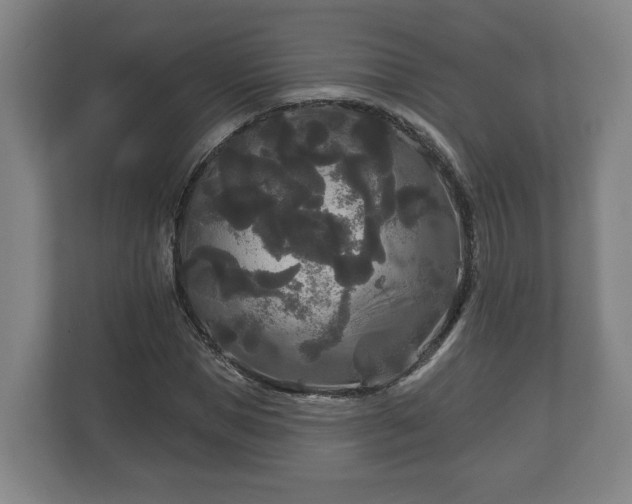 X0000113080921200909041126