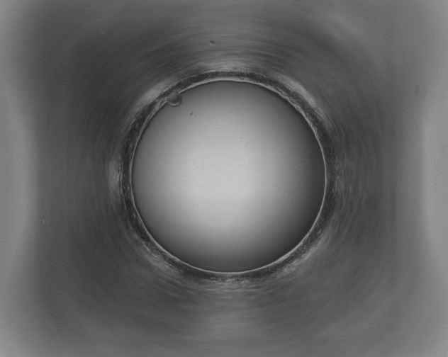 X0000113080922200909041126