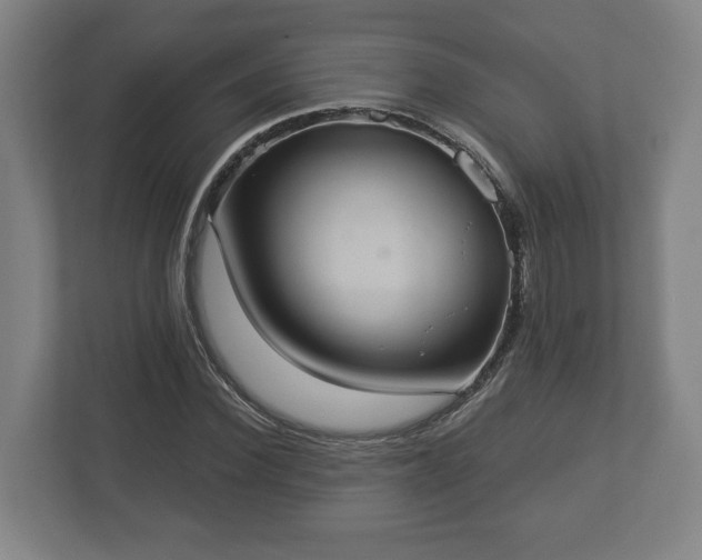 X0000113080924200909041126