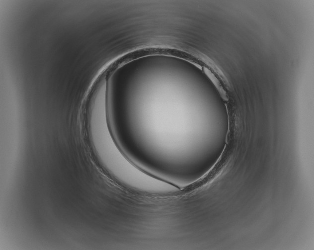 X0000113080926200909041126