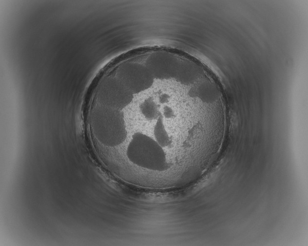 X0000113080927200909041126