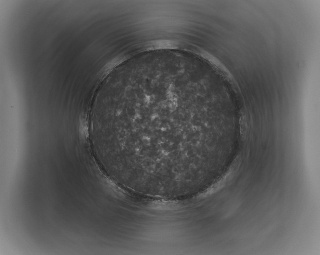 X0000113080929200909041126