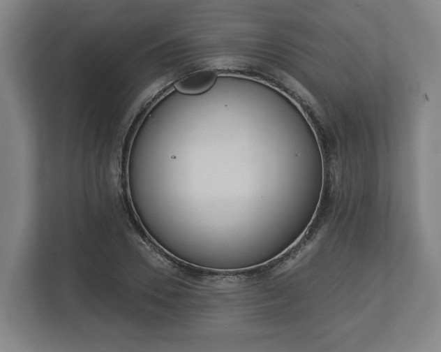 X0000113080930200909041126