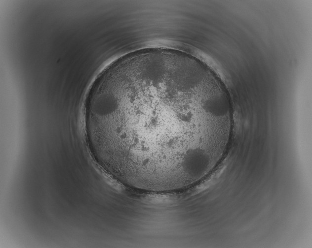 X0000113080931200909041126