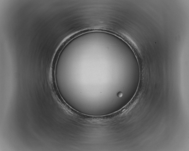 X0000113080932200909041126