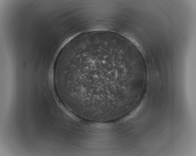 X0000113080933200909041126