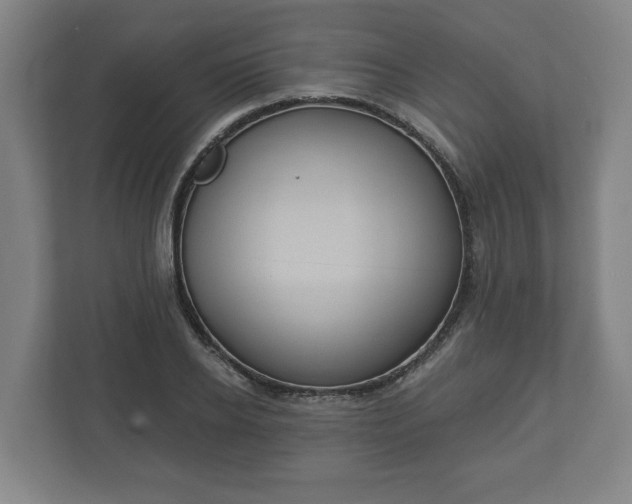 X0000113080934200909041126