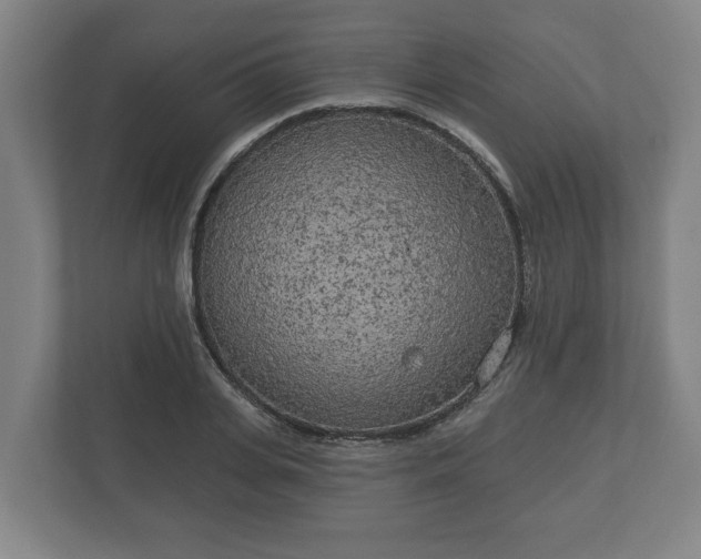 X0000113080935200909041126