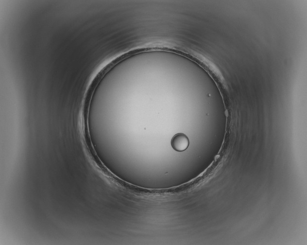 X0000113080936200909041126