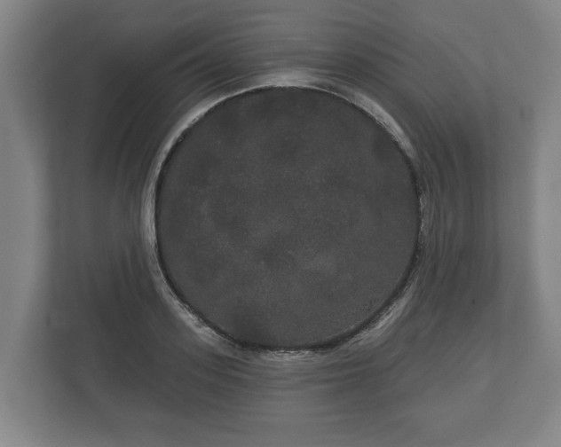 X0000113080939200909041126