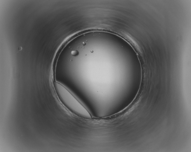 X0000113080940200909041126