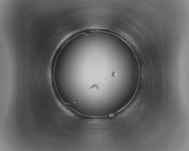 X0000113080942200909041126