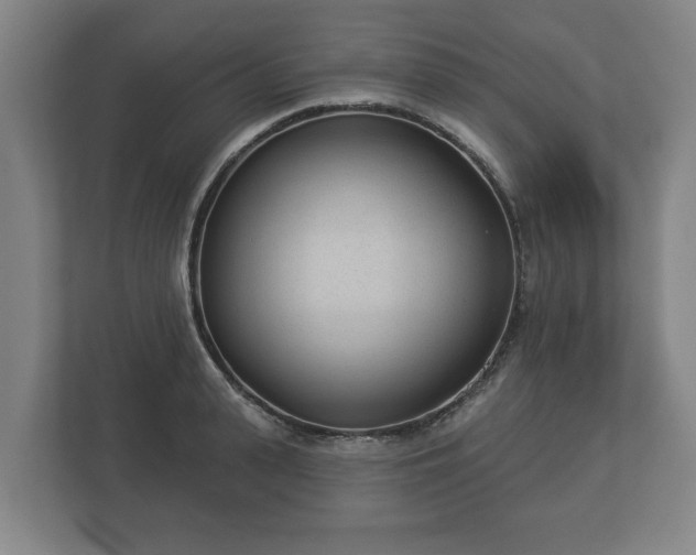 X0000113080943200909041126