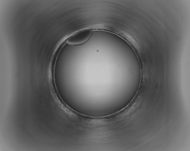 X0000113080944200909041126