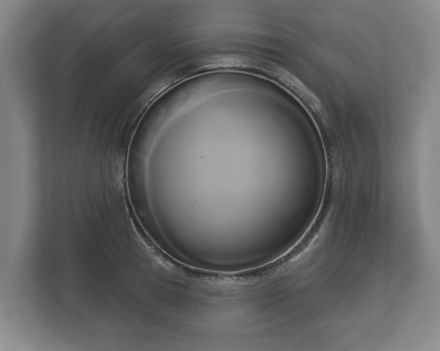 X0000113080945200909041126