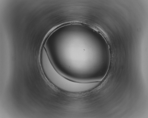 X0000113080948200909041126