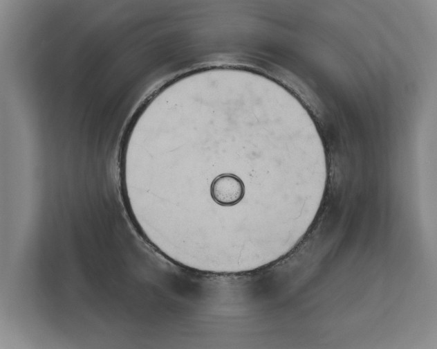 X0000113080950200909041126