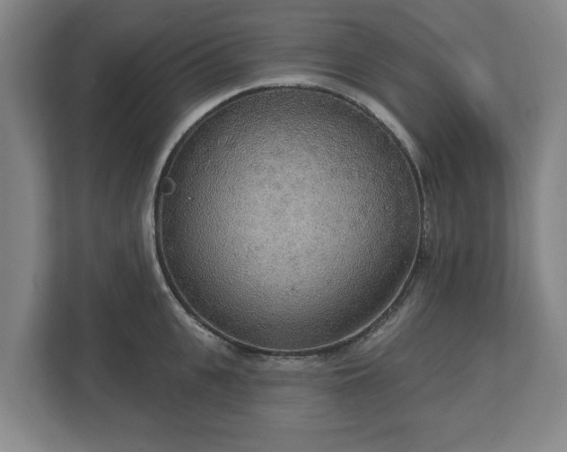 X0000113080951200909041126