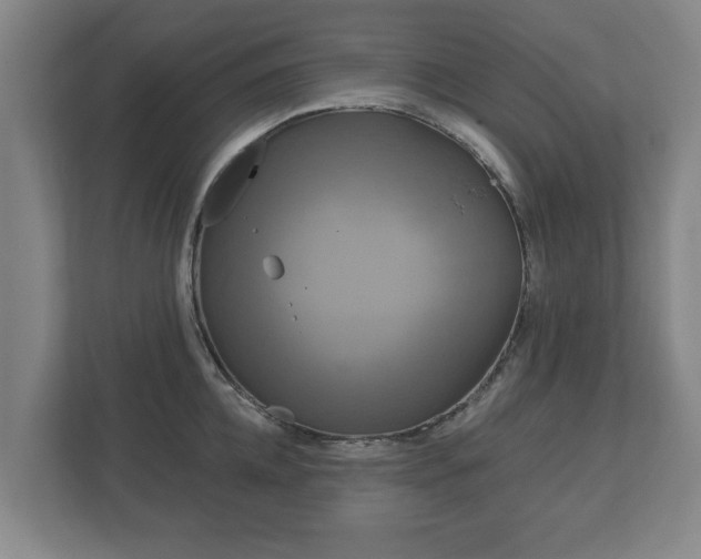 X0000113080952200909041126