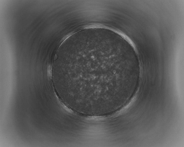 X0000113080953200909041126