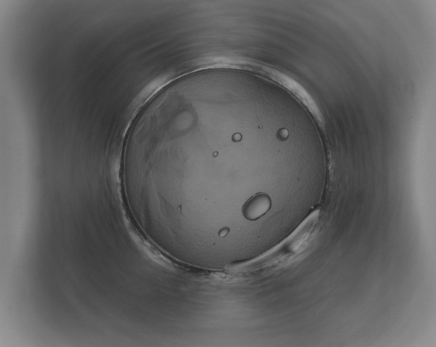 X0000113080954200909041126