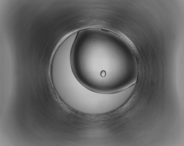 X0000113080956200909041126