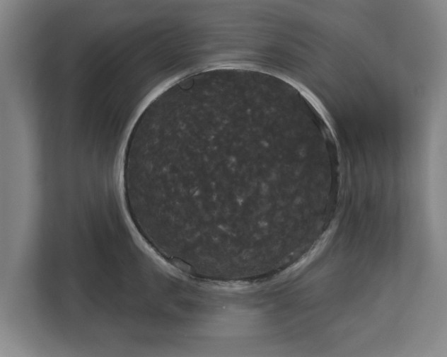 X0000113080957200909041126