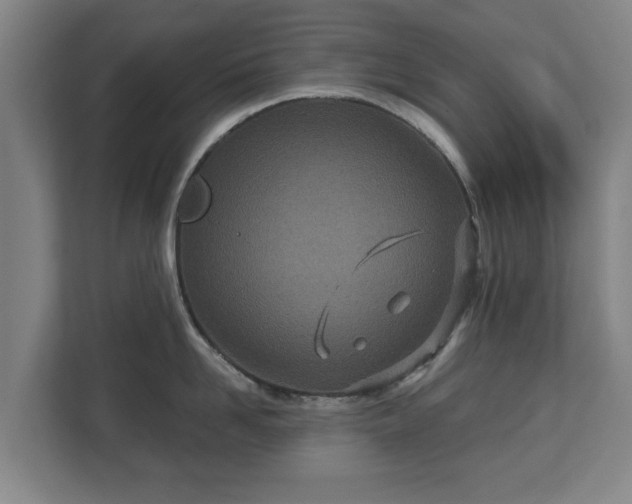 X0000113080958200909041126