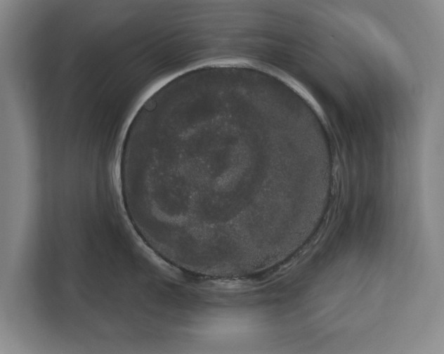 X0000113080959200909041126