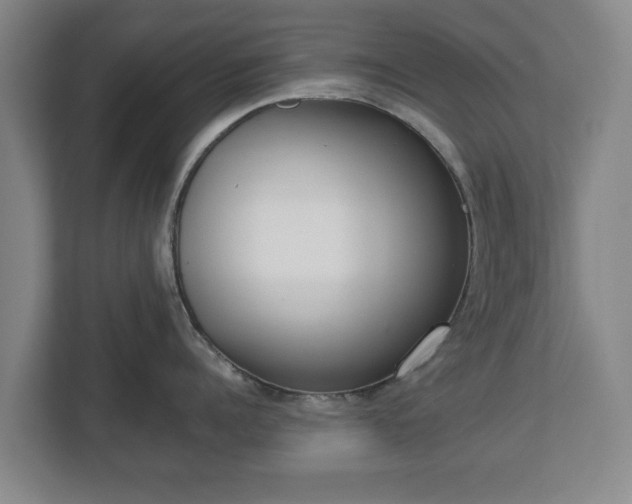 X0000113080960200909041126