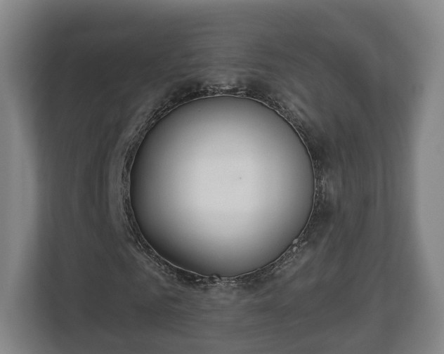 X0000113080961200909041125