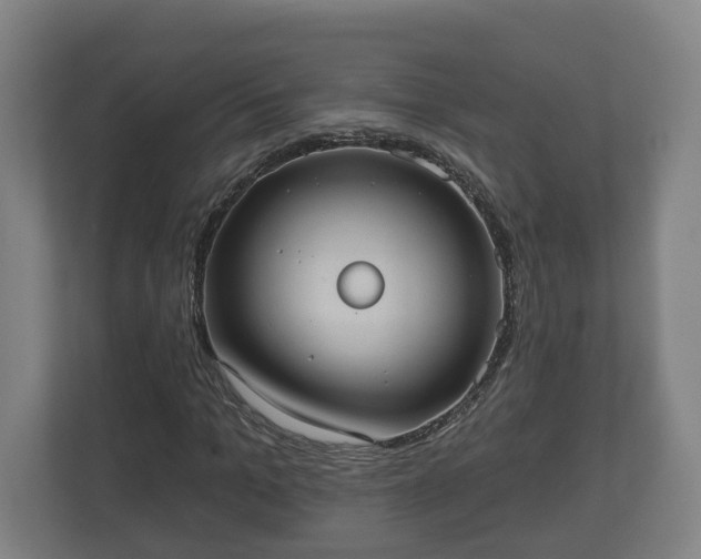 X0000113080965200909041125