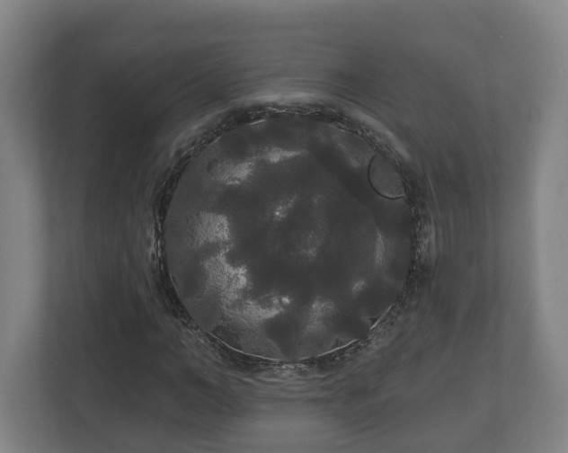 X0000113080966200909041125