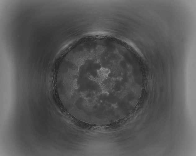 X0000113080967200909041125