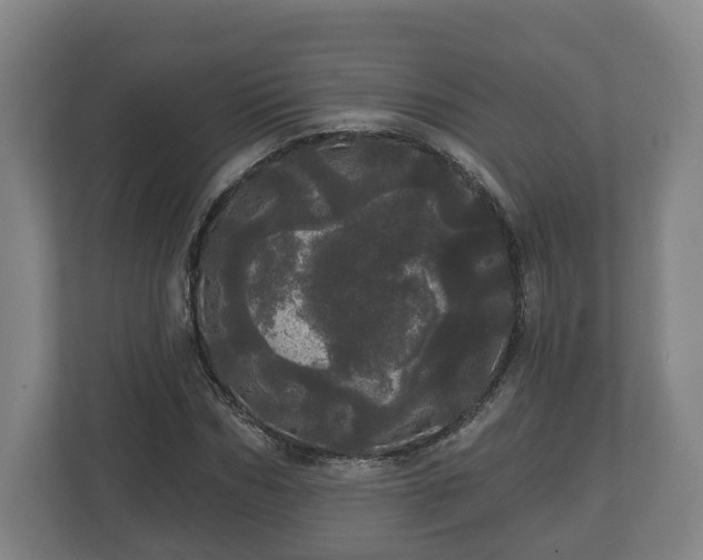 X0000113080970200909041125