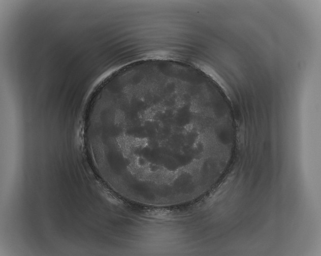 X0000113080971200909041125