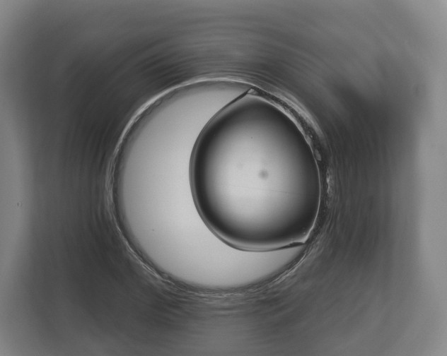 X0000113080972200909041125