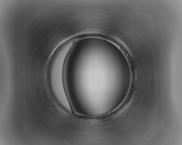 X0000113080973200909041125