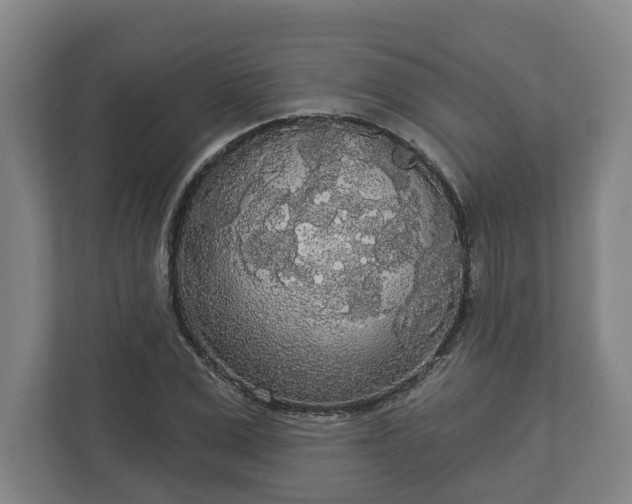 X0000113080975200909041125