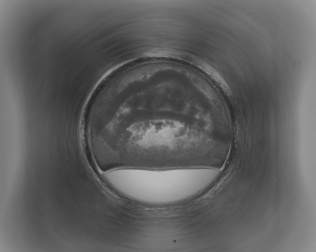 X0000113080976200909041125