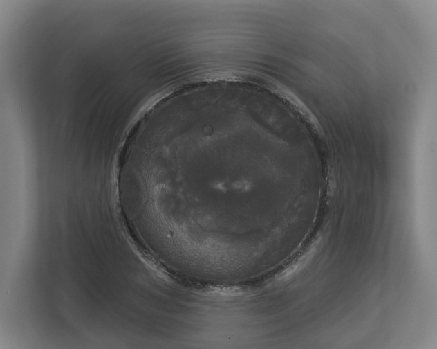 X0000113080978200909041125