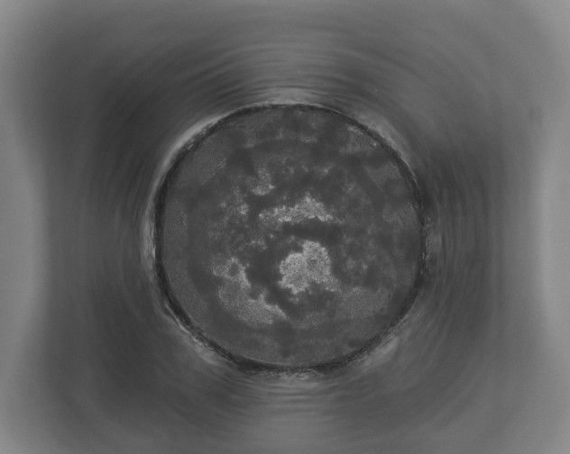 X0000113080979200909041125