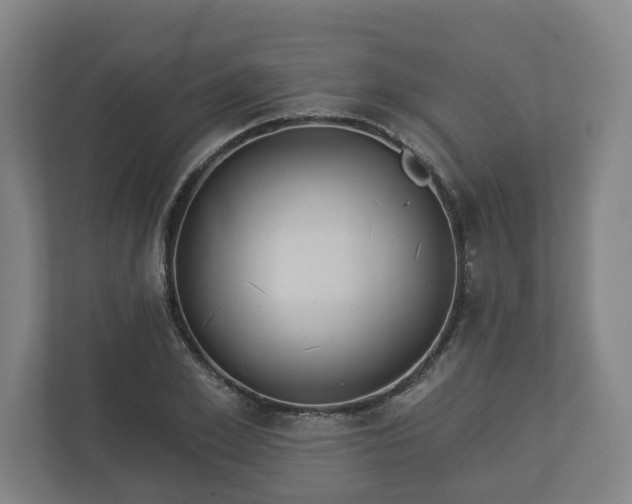 X0000113080981200909041125