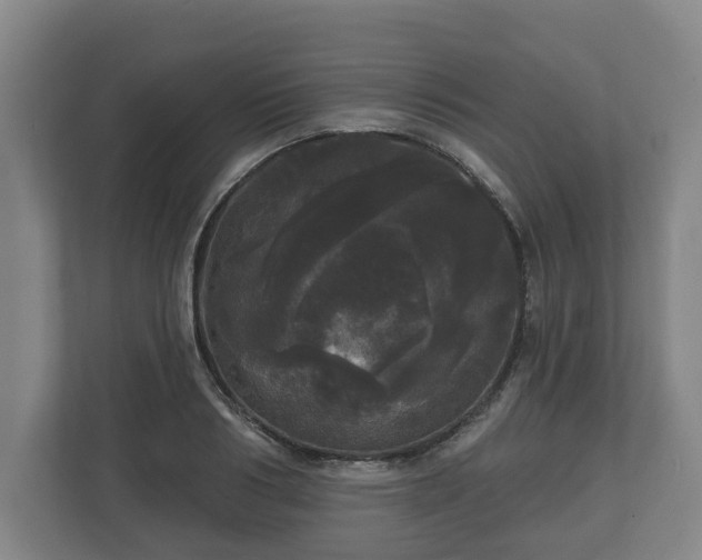 X0000113080986200909041125