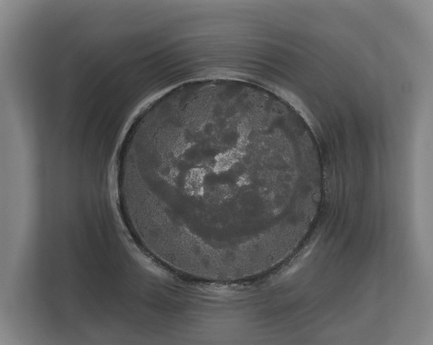 X0000113080987200909041125